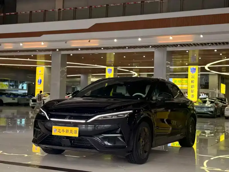 BYD L EV, 2024