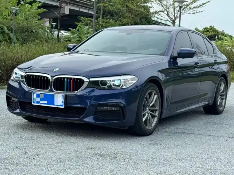 BMW 5 Series (Import), 2019