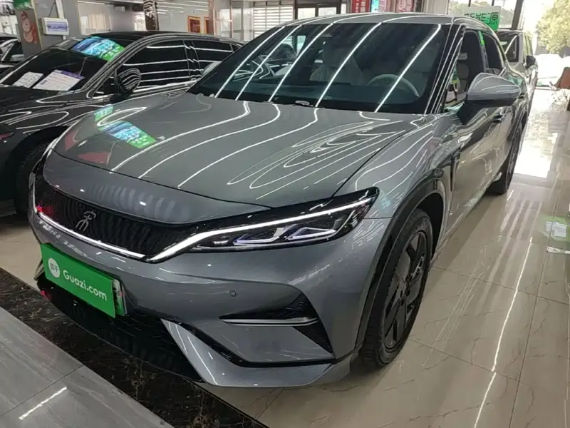 BYD L EV, 2024