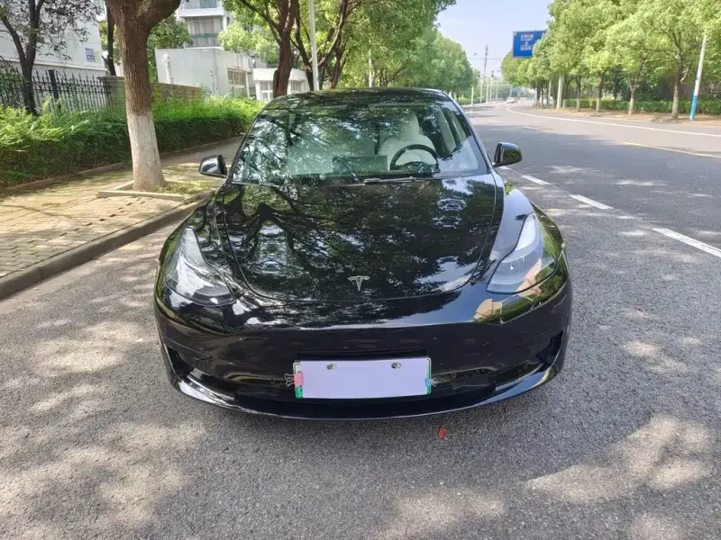 Tesla Model 3, 2022