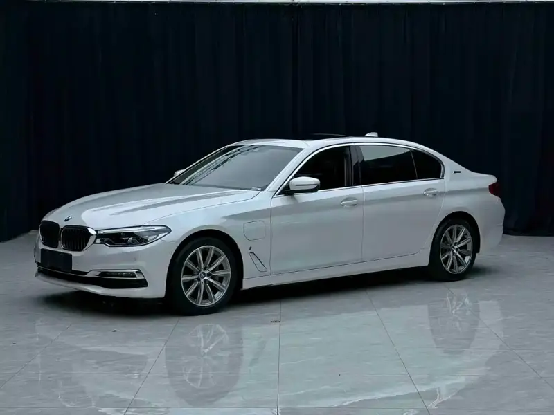 BMW 5 Series New Energy, 2019