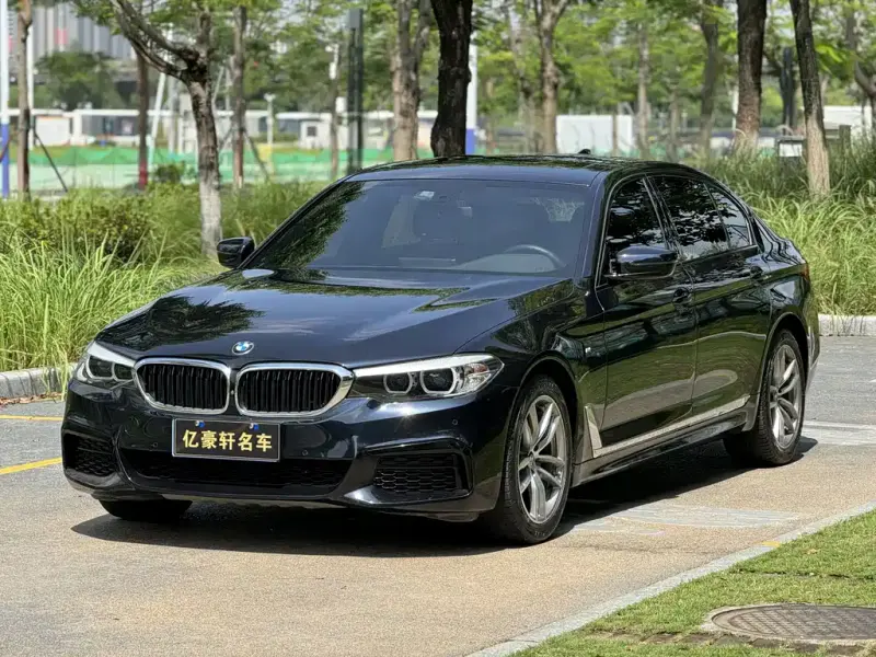 BMW 5 Series, 2019
