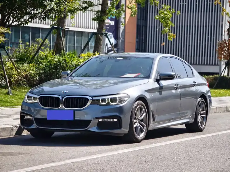 BMW 5 Series (Import), 2018