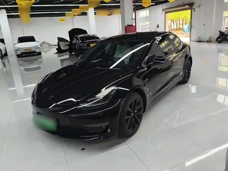 Tesla Model 3, 2021