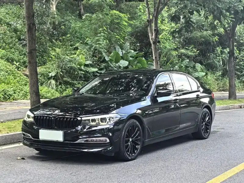 BMW 5 Series, 2019