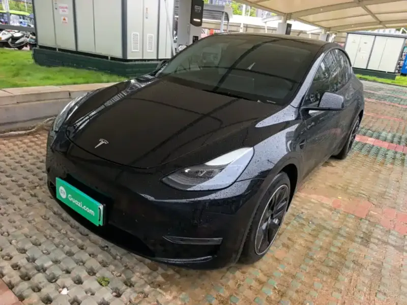 Tesla Model Y, 2021
