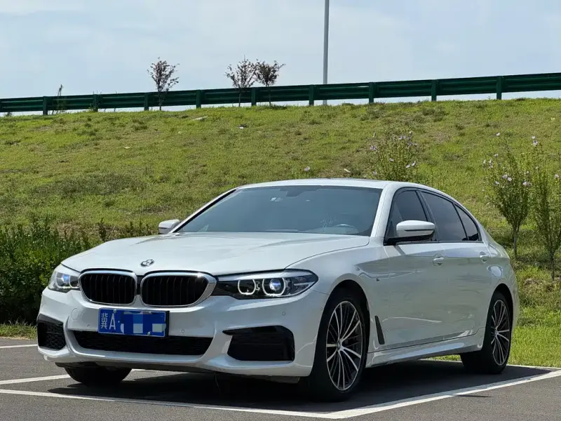 BMW 5 Series, 2019