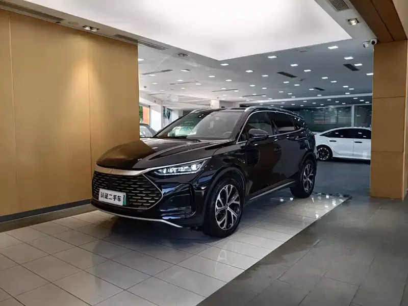 BYD Tang New Energy, 2025