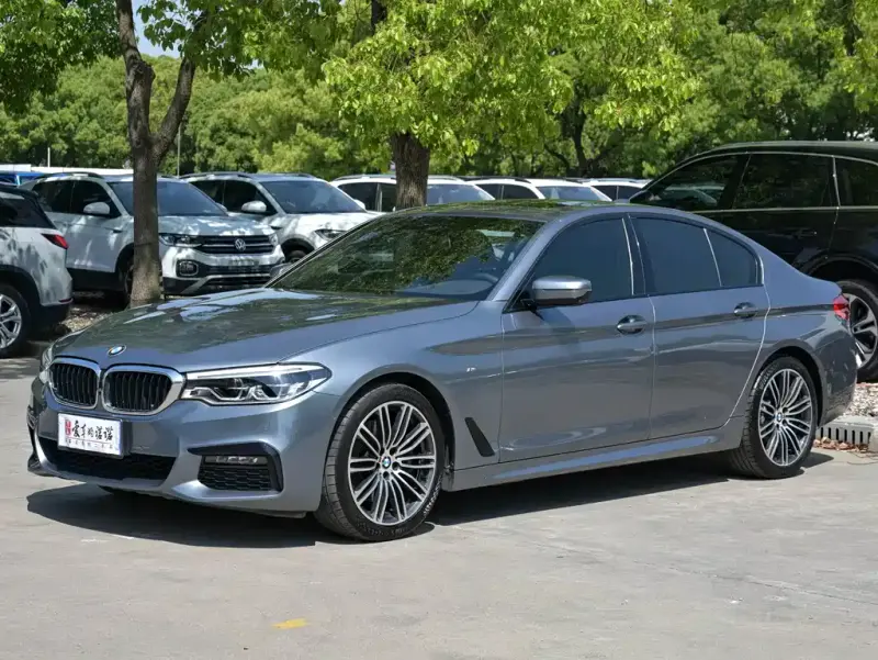 BMW 5 Series (Import), 2019