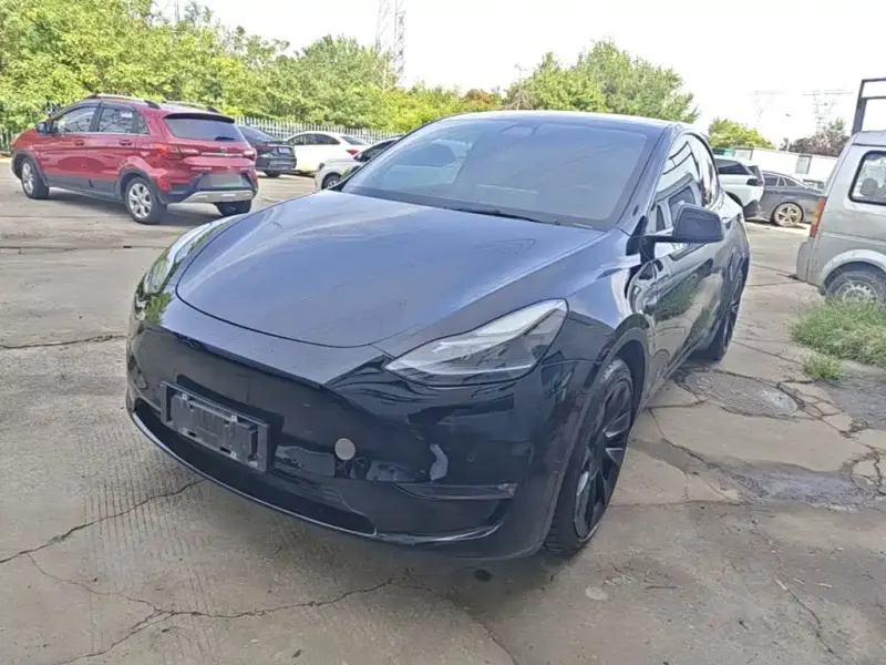 Tesla Model Y, 2021