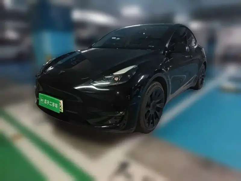 Tesla Model Y, 2021