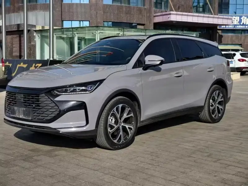 BYD Tang New Energy, 2024