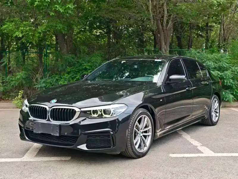 BMW 5 Series, 2019