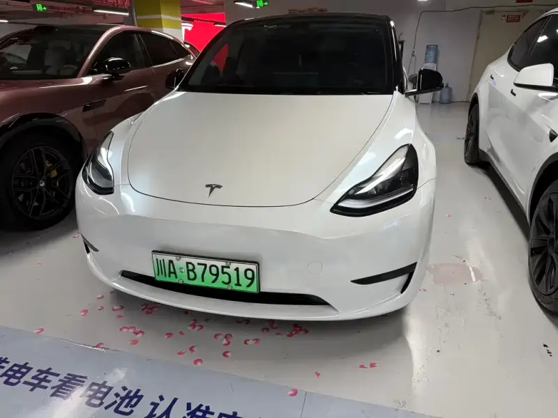 Tesla Model Y, 2023
