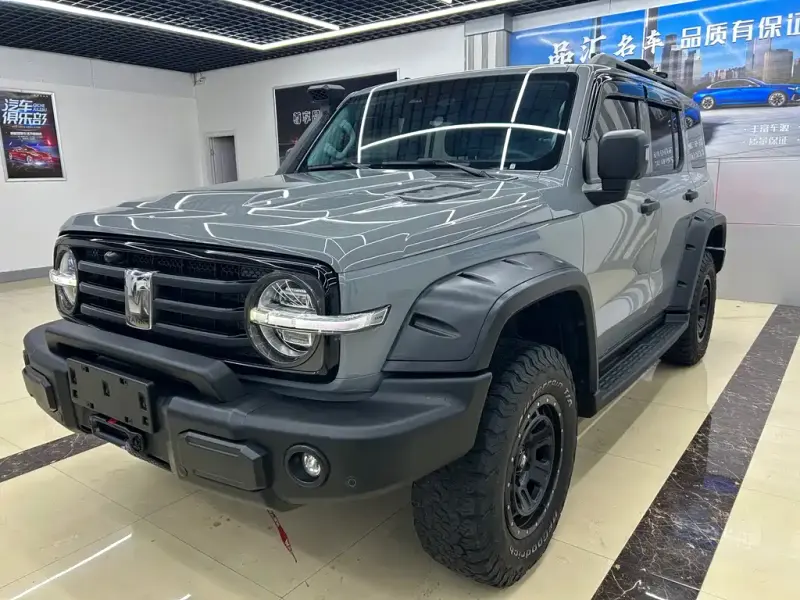 Tank 300, 2021