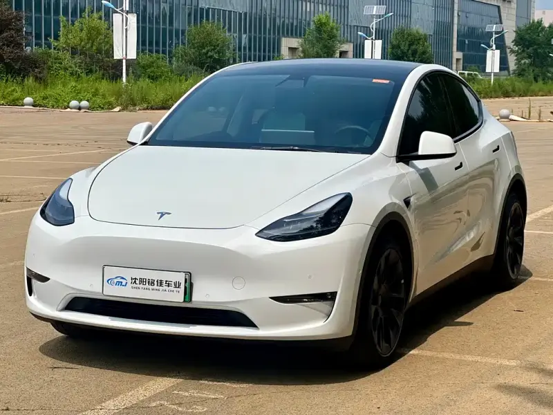 Tesla Model Y, 2021