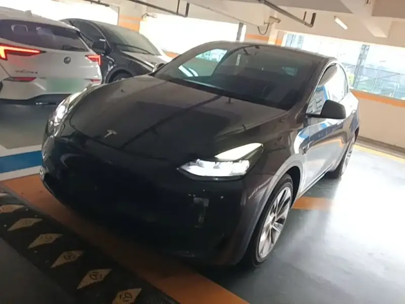 Tesla Model Y, 2021