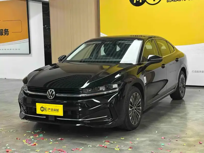 Volkswagen Magotan, 2024