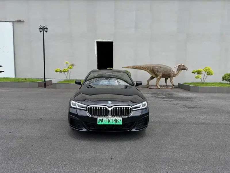 BMW 5 Series New Energy, 2022
