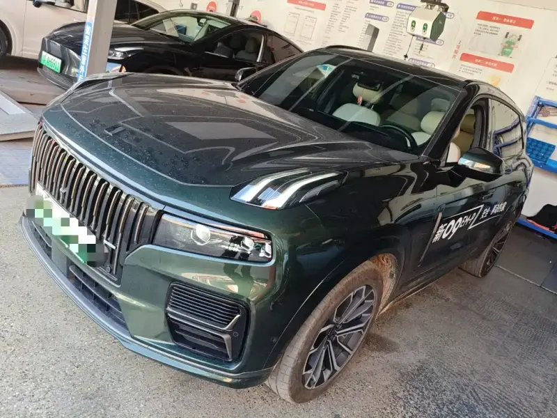 Lynk & Co 09 EM-P, 2024