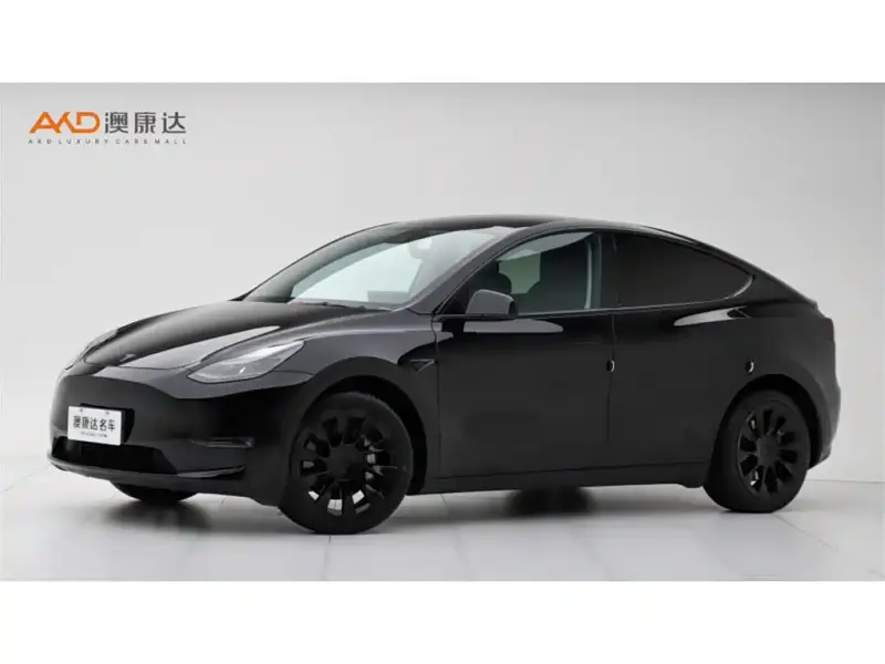 Tesla Model Y, 2022