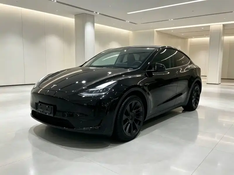Tesla Model Y, 2022