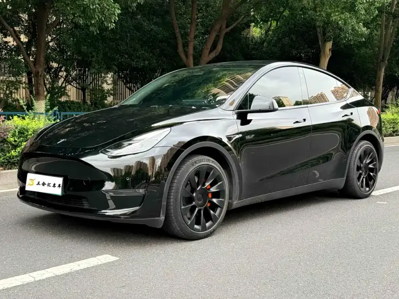 Tesla Model Y, 2022
