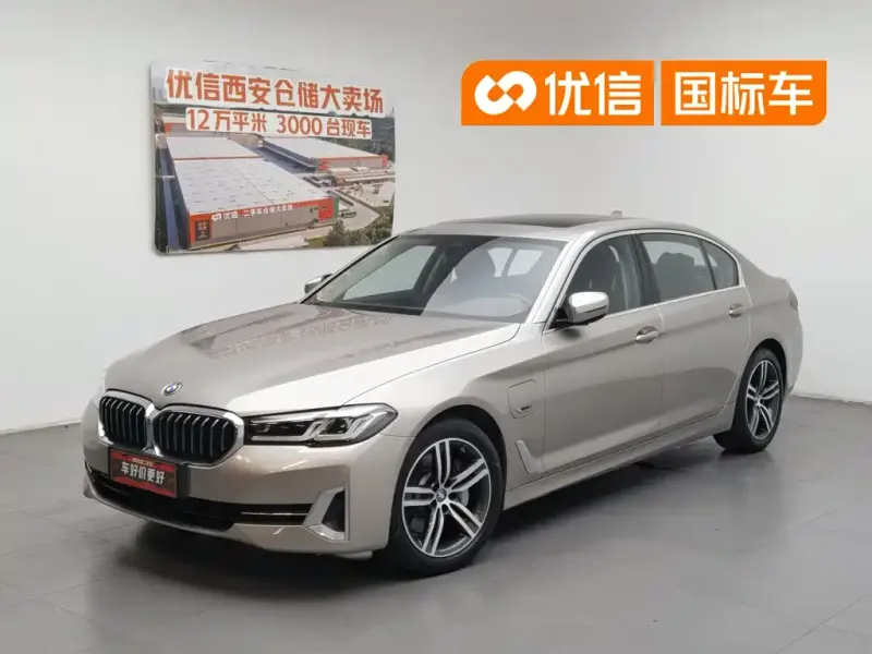 BMW 5 Series New Energy, 2021