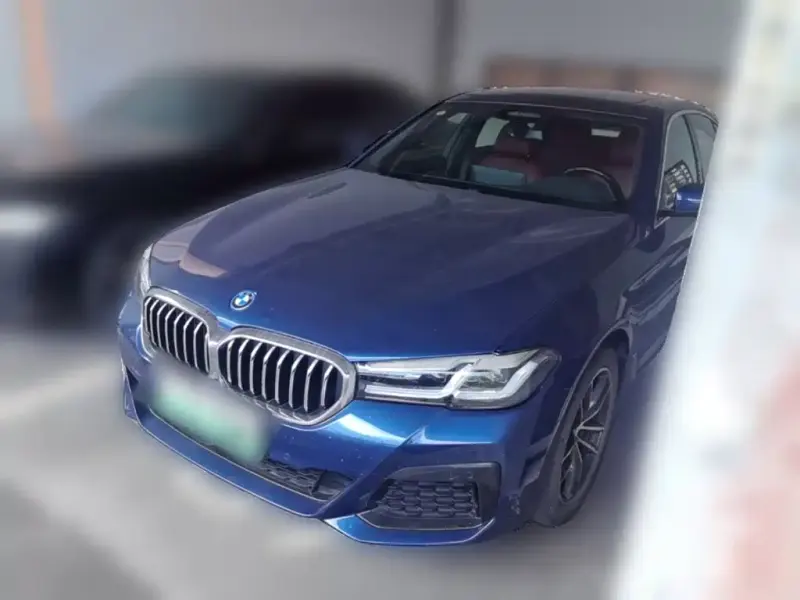 BMW 5 Series New Energy, 2022
