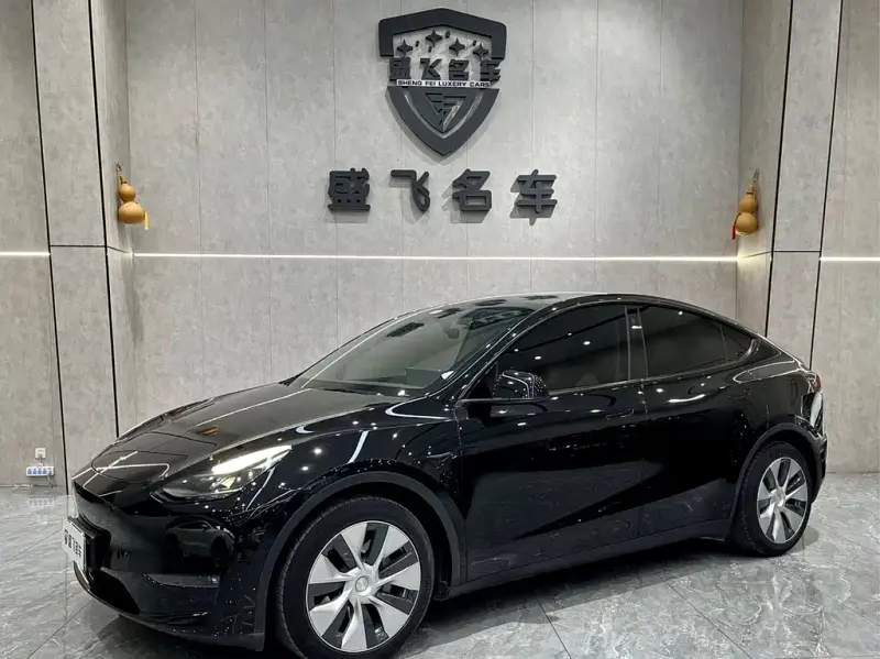 Tesla Model Y, 2021