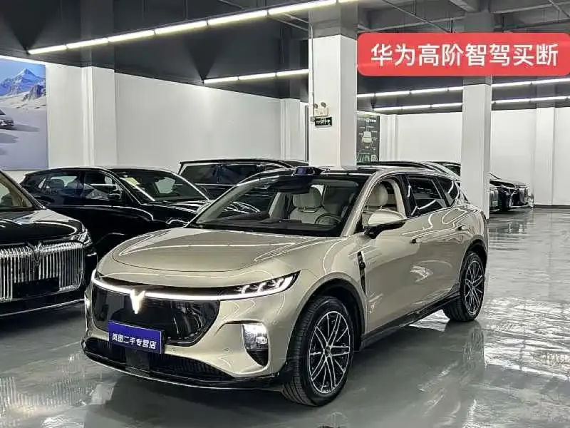 VOYAH Zhiyin, 2025