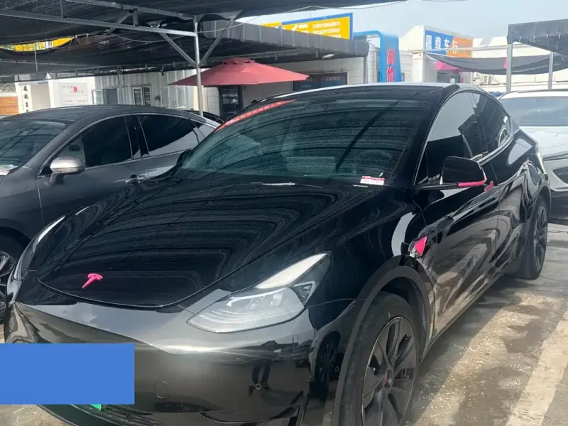 Tesla Model Y, 2024