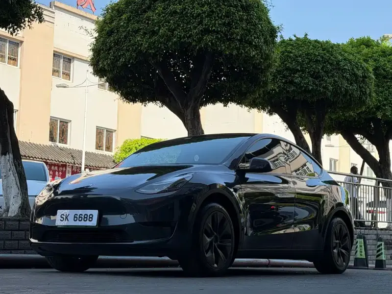 Tesla Model Y, 2024