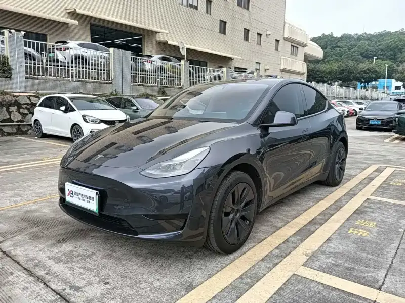 Tesla Model Y, 2024