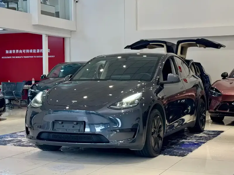 Tesla Model Y, 2024