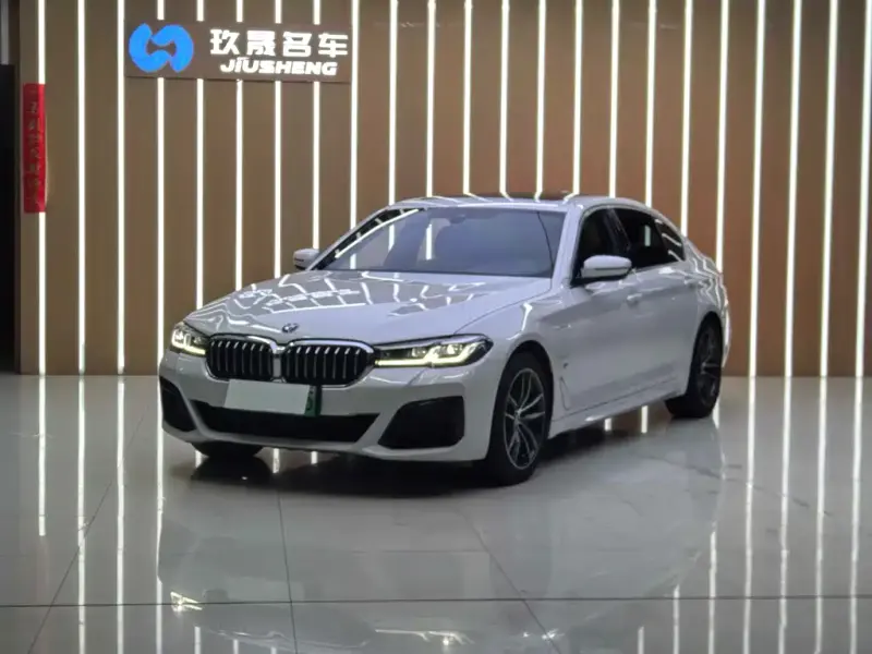 BMW 5 Series New Energy, 2021