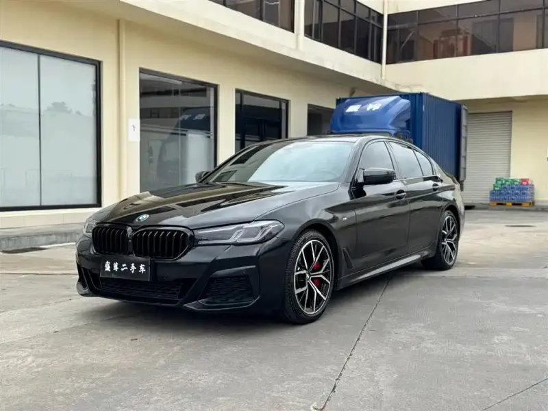 BMW 5 Series (Import), 2020