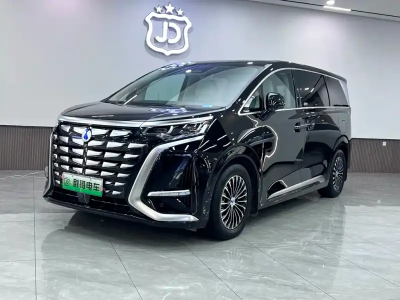 Denza D9, 2024