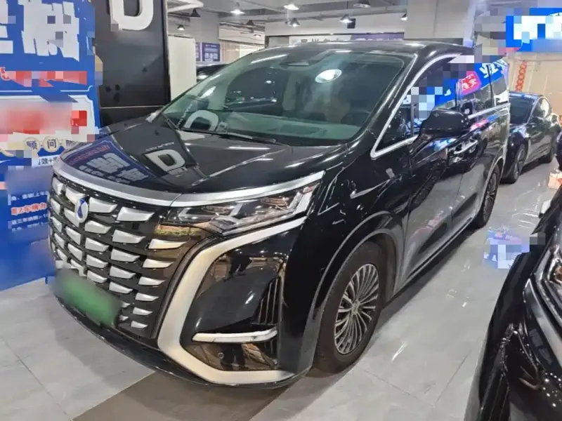 Denza D9, 2024