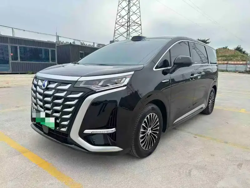 Denza D9, 2025