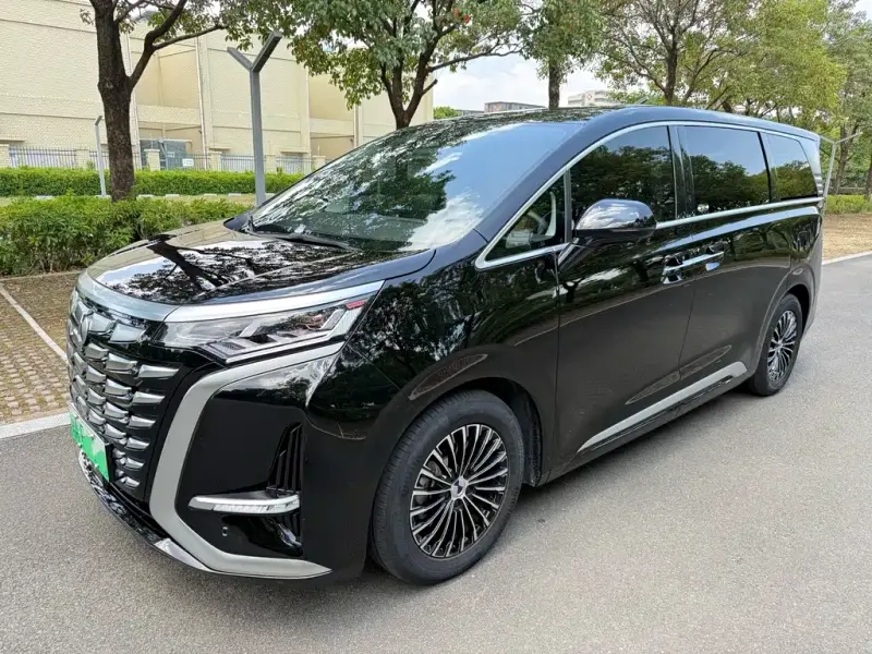 Denza D9, 2025
