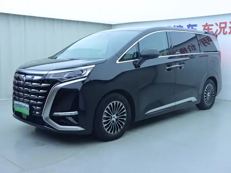 Denza D9, 2024