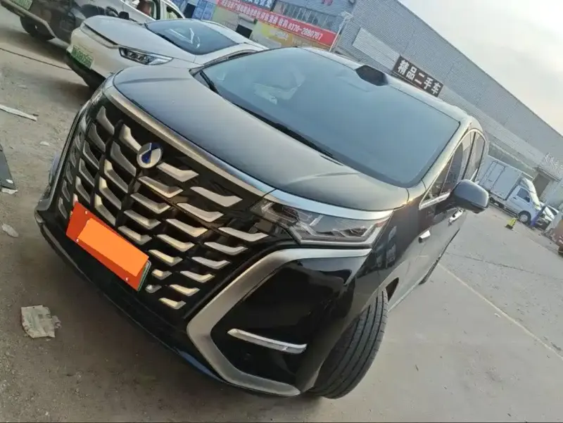 Denza D9, 2025