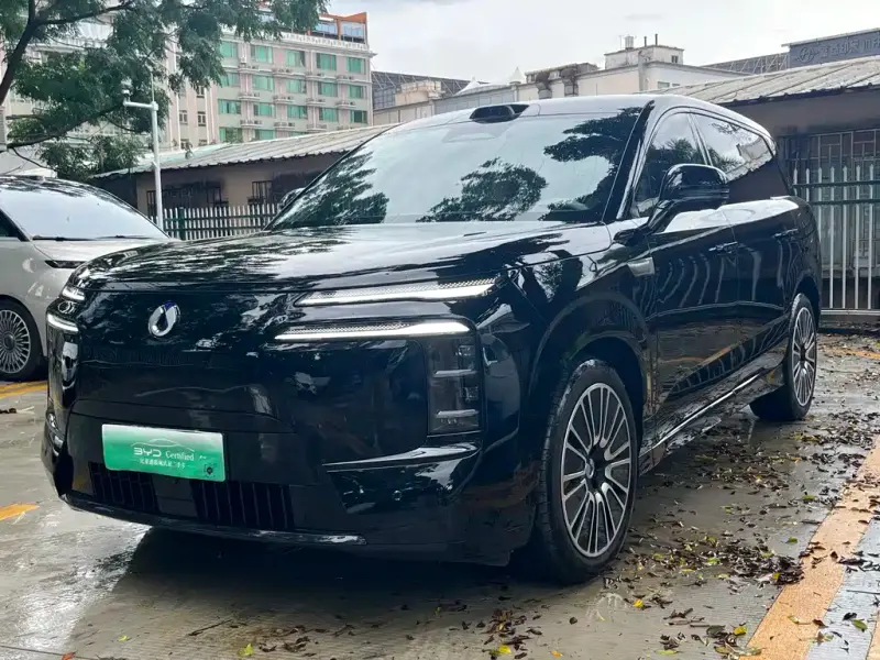 Denza N8L, 2025