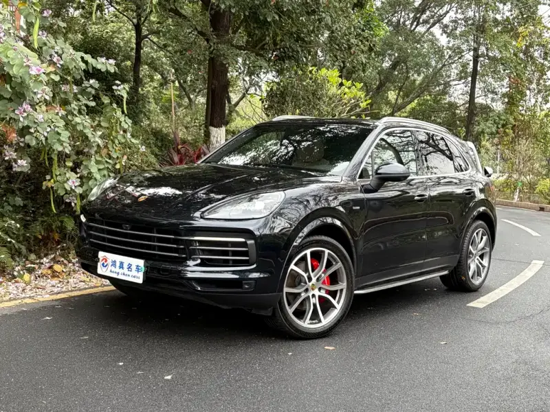 Porsche Cayenne, 2019