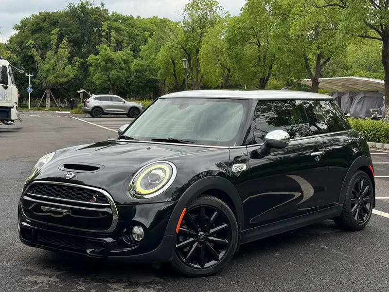 MINI MINI, 2019