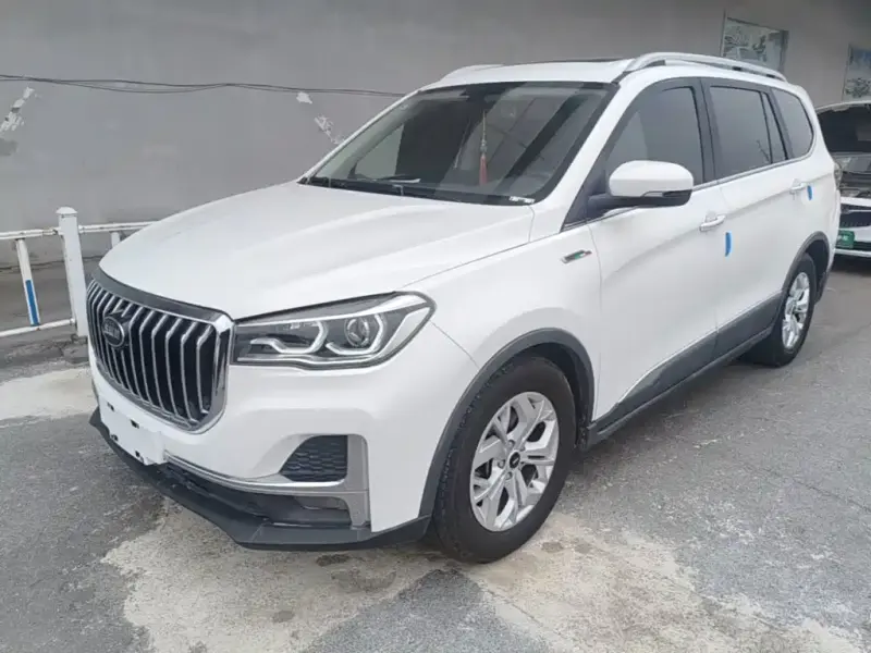 SWM G05, 2020