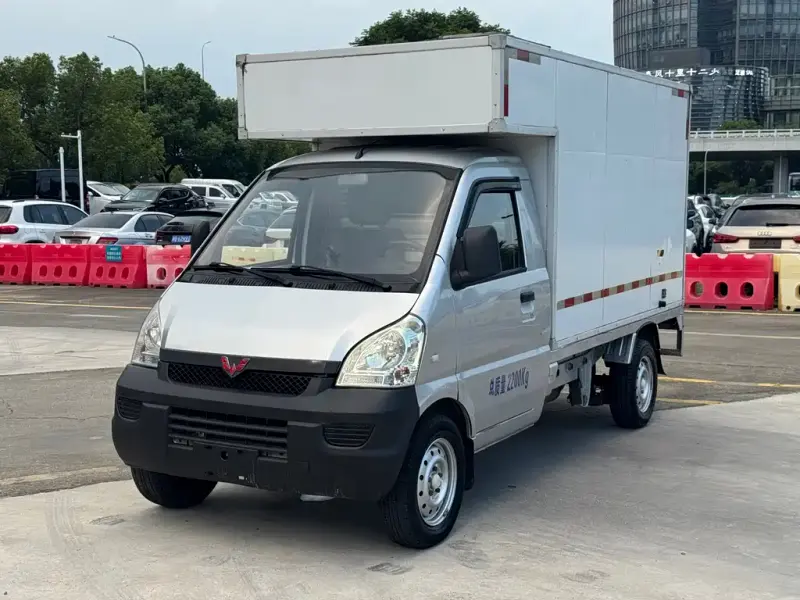 Wuling Rongguang Mini Truck, 2022