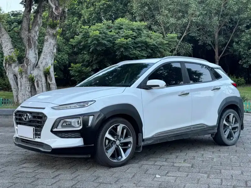 Hyundai Encino, 2020