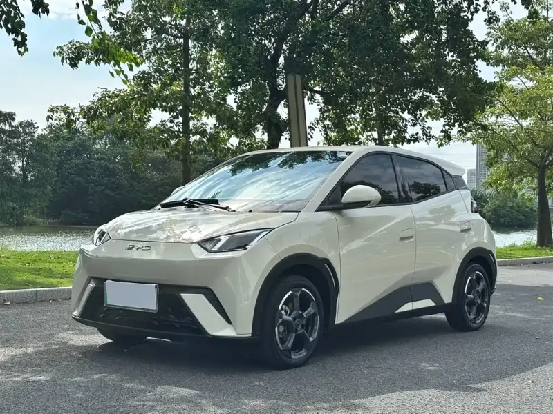 BYD Seagull, 2023